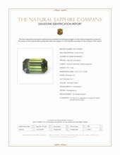 Jewelry Scan Report