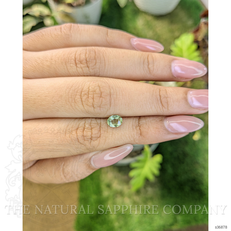 0.80 Ct. Yellowish Green Sapphire from Madagascar