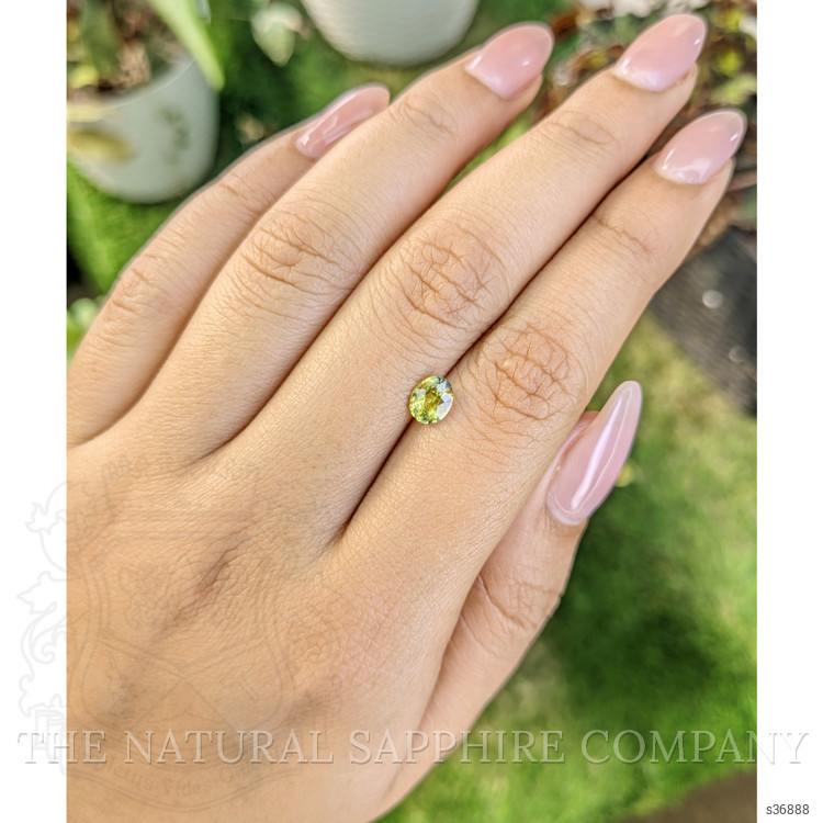 0.82 Ct. Greenish Yellow Sapphire from Madagascar