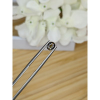 0.66 Ct. Brown Sapphire from Madagascar Life Style