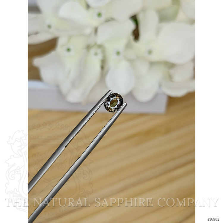 0.66 Ct. Brown Sapphire from Madagascar