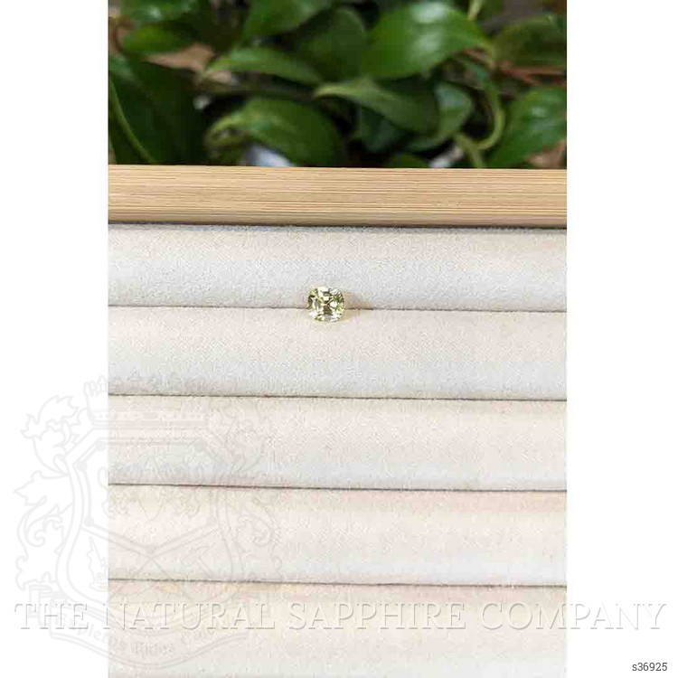 1.65 Ct. Yellow Sapphire from Ceylon (Sri Lanka)