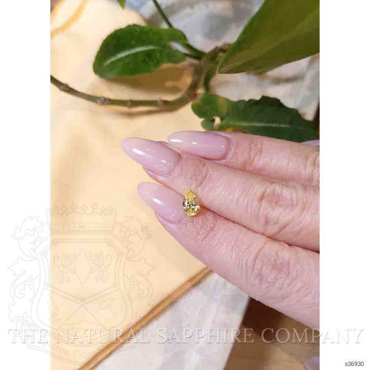 1.44 Ct. Yellow Sapphire from Ceylon (Sri Lanka)
