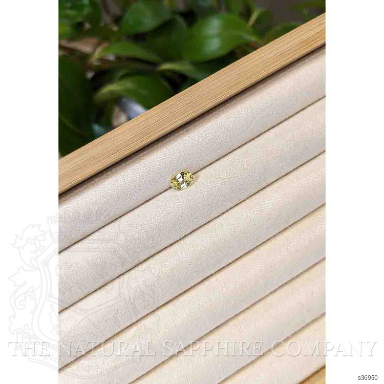 1.29 Ct. Yellow Sapphire from Ceylon (Sri Lanka)