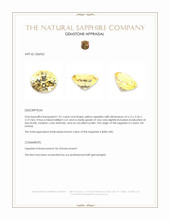 1.01 Ct. Yellow Sapphire from Ceylon (Sri Lanka) Appraisal