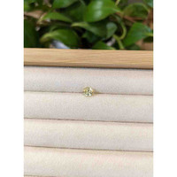 1.01 Ct. Yellow Sapphire from Ceylon (Sri Lanka) Life Style