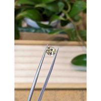 1.95 Ct. Yellow Sapphire from Ceylon (Sri Lanka) Life Style