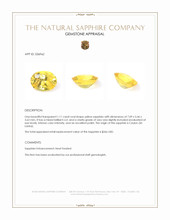 1.11 Ct. Yellow Sapphire from Ceylon (Sri Lanka) Appraisal
