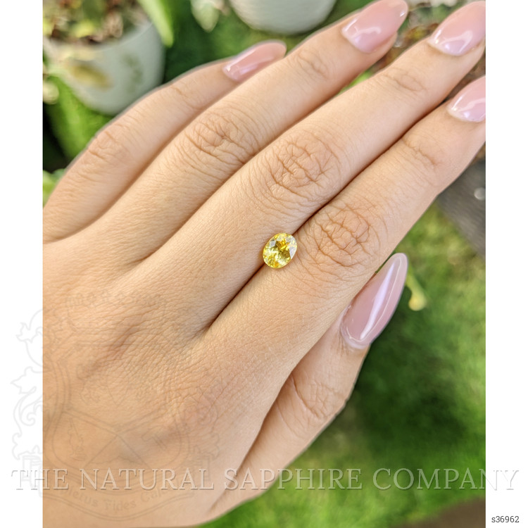 1.11 Ct. Yellow Sapphire from Ceylon (Sri Lanka)