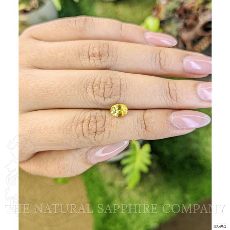 1.11 Ct. Yellow Sapphire from Ceylon (Sri Lanka)