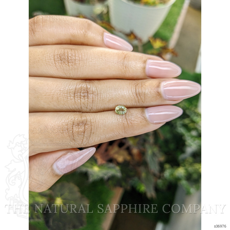 0.50 Ct. Yellow Sapphire from Ceylon (Sri Lanka)