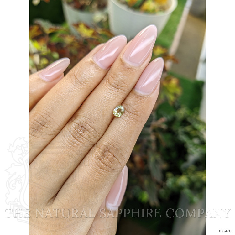 0.50 Ct. Yellow Sapphire from Ceylon (Sri Lanka)