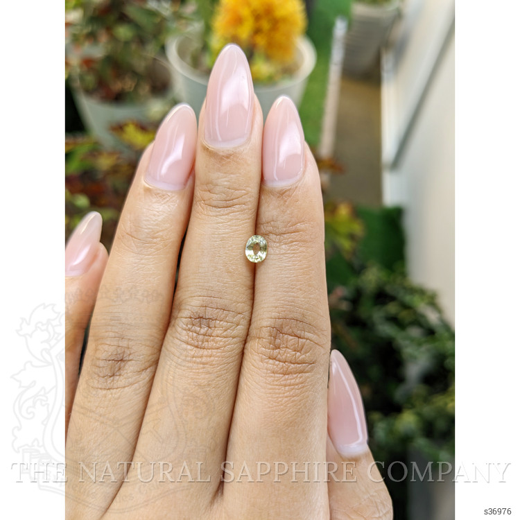 0.50 Ct. Yellow Sapphire from Ceylon (Sri Lanka)