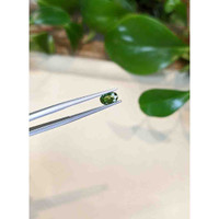 0.70 Ct. Green Sapphire from Thailand Life Style