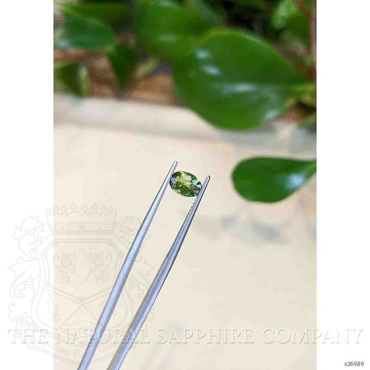 0.92 Ct. Yellowish Green Sapphire from Thailand