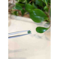 0.75 Ct. Bluish Green Sapphire from Madagascar Life Style