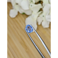 1.66 Ct. Blue Sapphire from Ceylon (Sri Lanka) Life Style