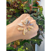 43.15 Ct. Multi Color Sapphire Crystal from Ceylon (Sri Lanka) Life Style