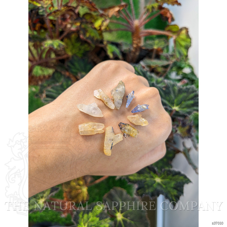 43.15 Ct. Multi Color Sapphire Crystal from Ceylon (Sri Lanka)