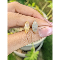 7.29 Ct. Multi Color Sapphire Crystal from Ceylon (Sri Lanka) Life Style