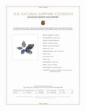 31.84 Ct. Blue Sapphire Crystal from Ceylon (Sri Lanka) Scan Report