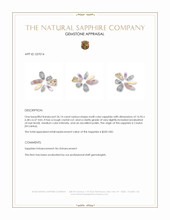 26.14 Ct. Multi Color Sapphire Crystal from Ceylon (Sri Lanka) Appraisal