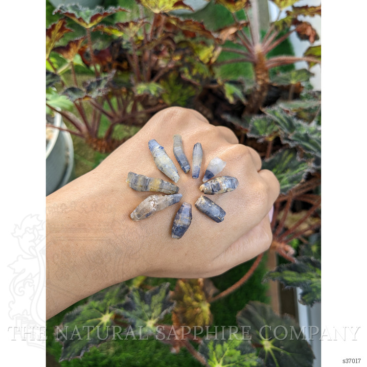 66.95 Ct. Multi Color Sapphire Crystal from Ceylon (Sri Lanka)