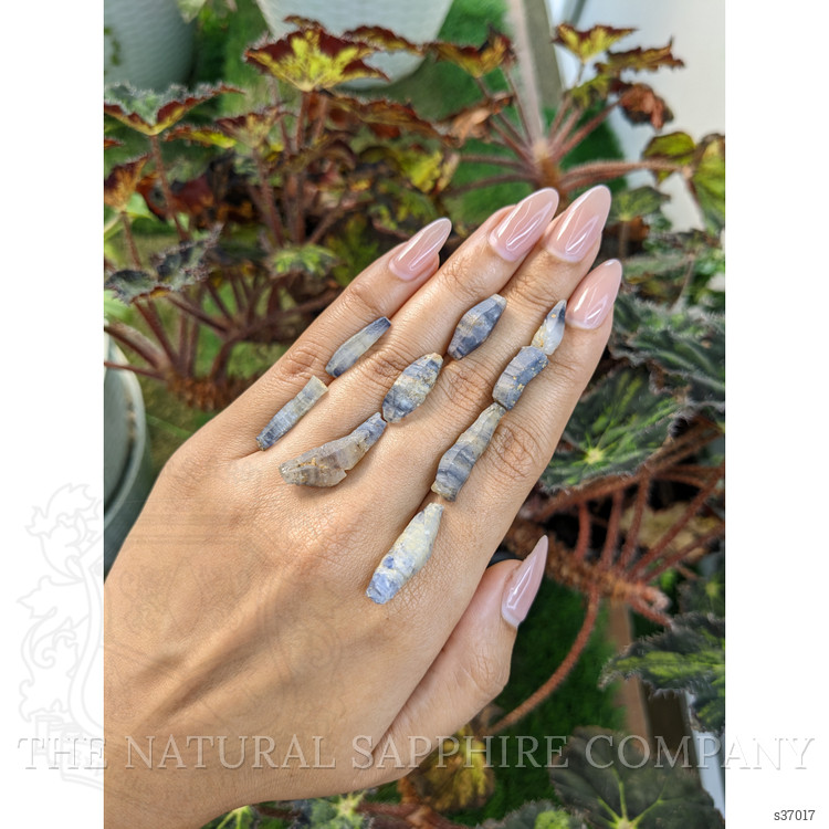 66.95 Ct. Multi Color Sapphire Crystal from Ceylon (Sri Lanka)