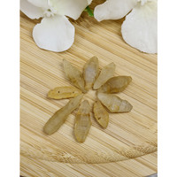 49.24 Ct. Yellow Sapphire Crystal from Ceylon (Sri Lanka) Life Style