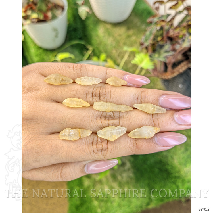 49.24 Ct. Yellow Sapphire Crystal from Ceylon (Sri Lanka)