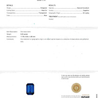 Jewelry Scan Report