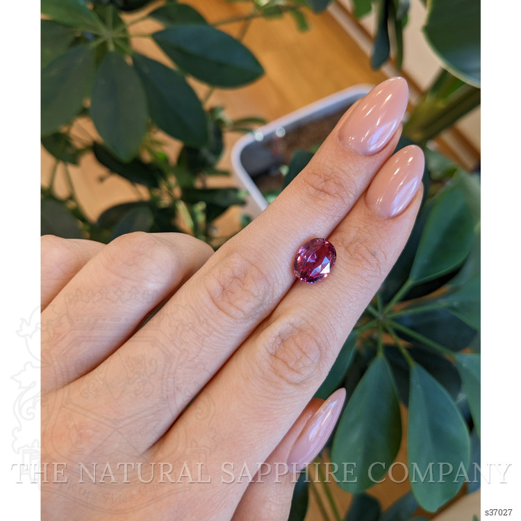 4.01 Ct. Pink Sapphire from Ceylon (Sri Lanka)