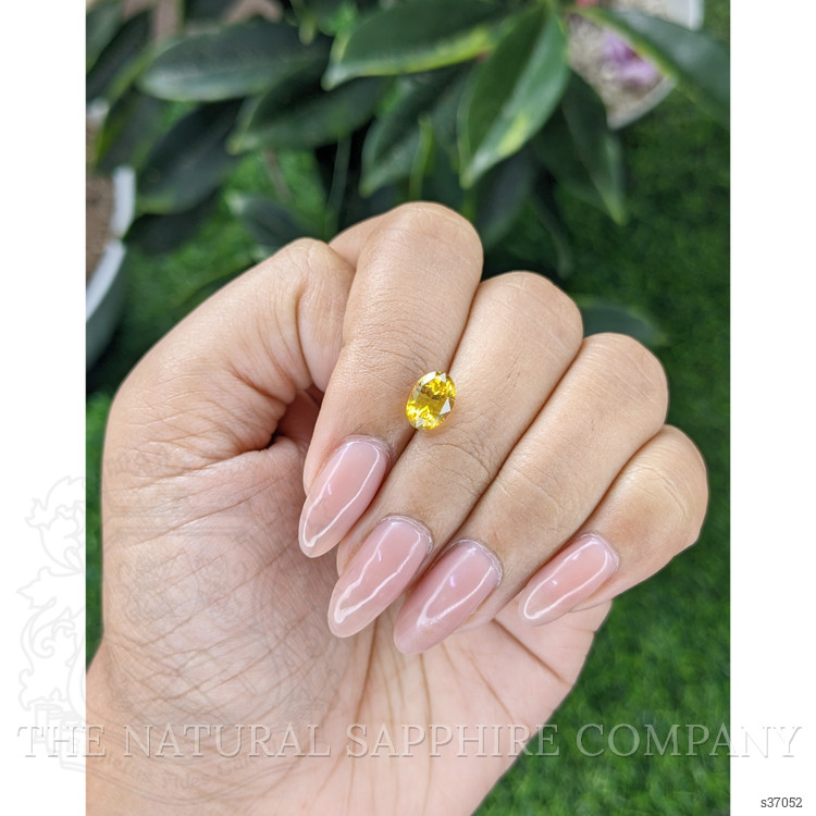 1.75 Ct. Yellow Sapphire from Africa