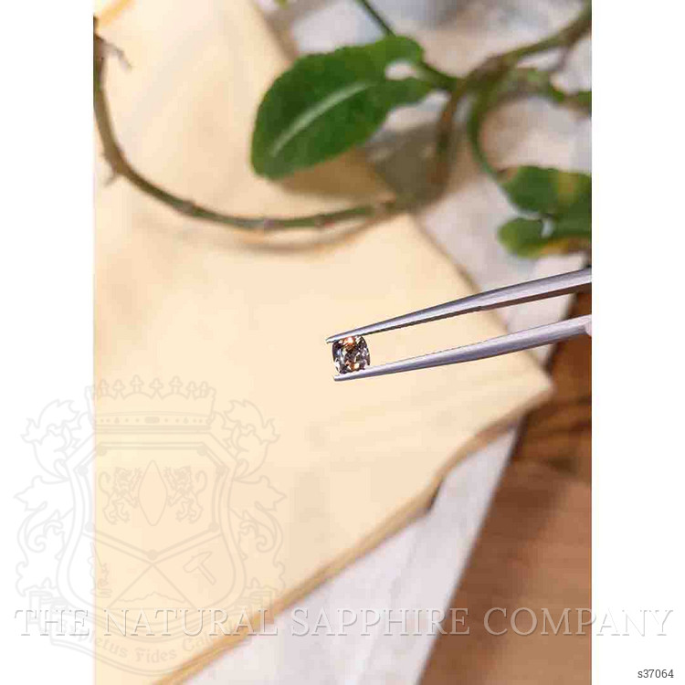 0.50 Ct. Bi Color Sapphire from Montana