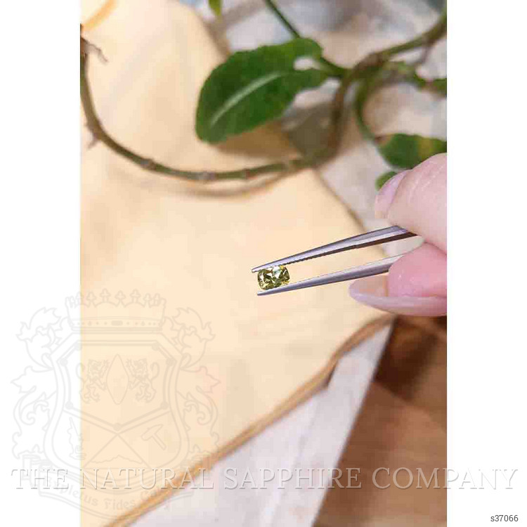 0.73 Ct. Yellow Sapphire from Montana