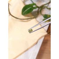 0.77 Ct. Bi Color Sapphire from Montana Life Style