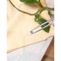 0.41 Ct. White Sapphire from Montana Life Style