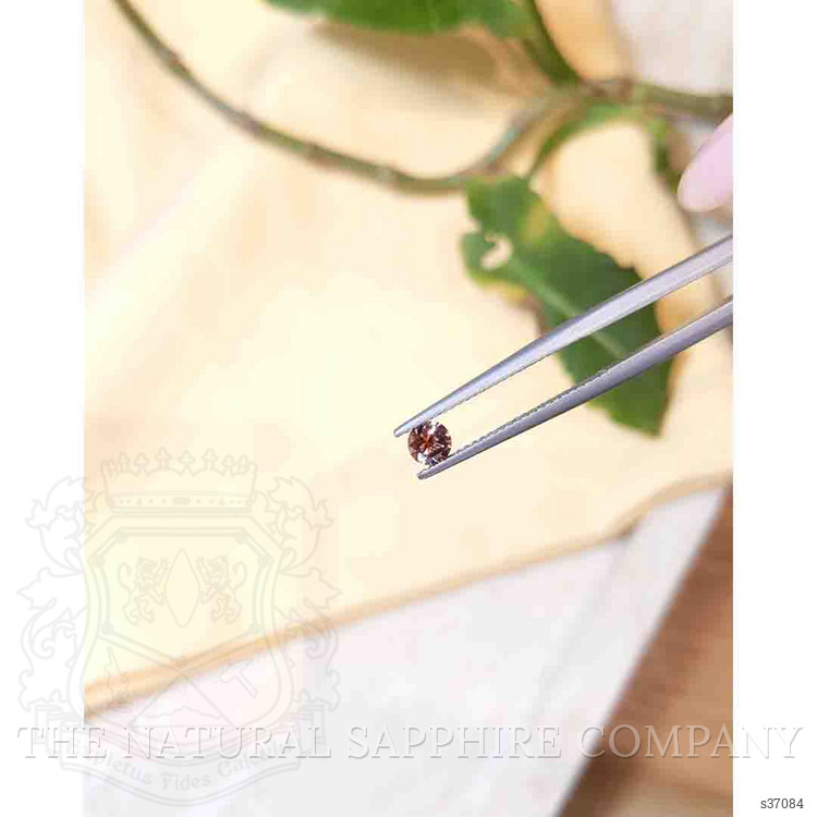 0.35 Ct. Bi Color Sapphire from Montana