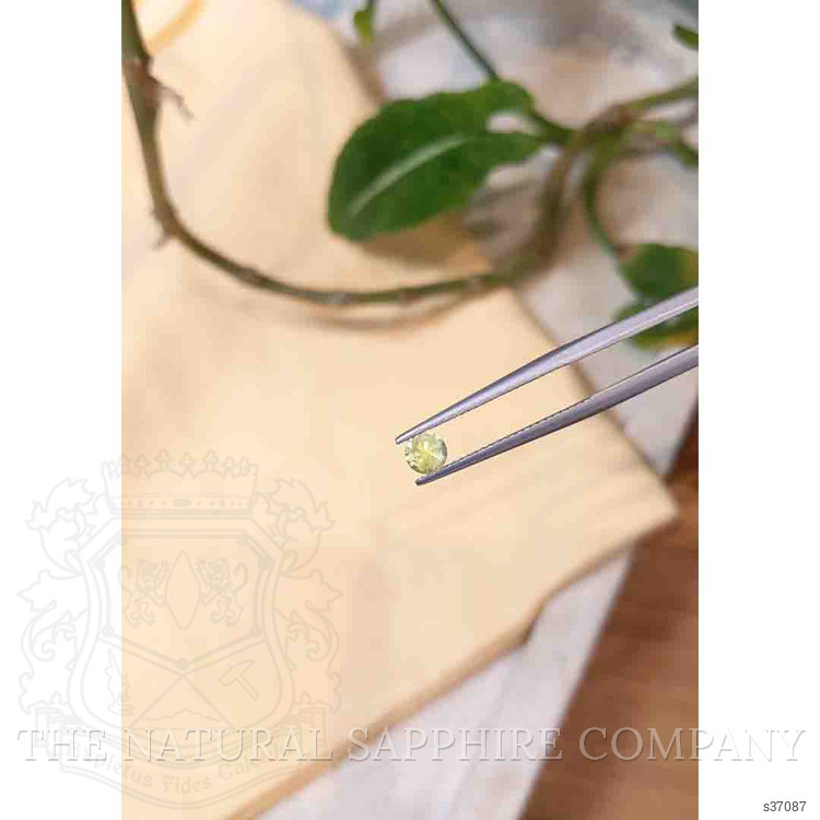 0.42 Ct. Yellowish Green Sapphire from Montana