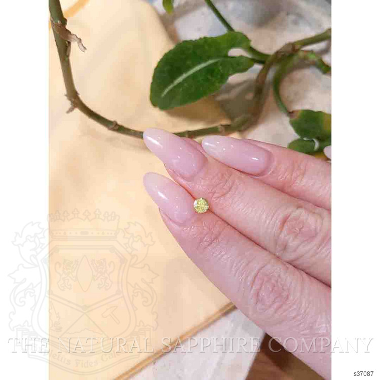 0.42 Ct. Yellowish Green Sapphire from Montana