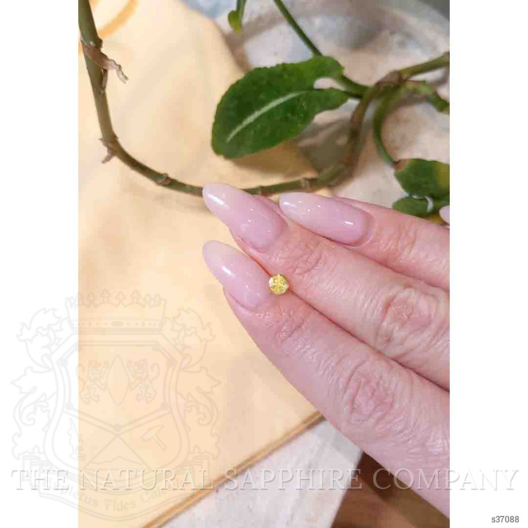 0.42 Ct. Yellow Sapphire from Montana