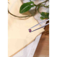 0.42 Ct. Bi Color Sapphire from Montana Life Style