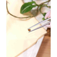 0.31 Ct. Bi Color Sapphire from Montana Life Style