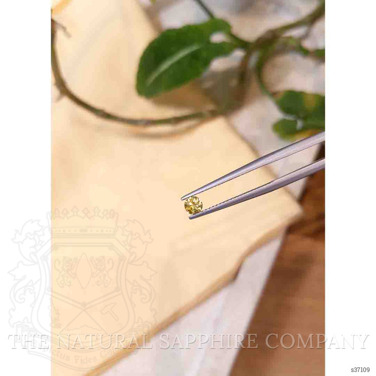 0.34 Ct. Yellow Sapphire from Montana