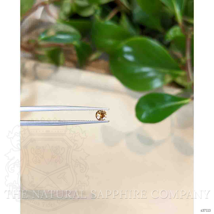 0.39 Ct. Bi Color Sapphire from Montana