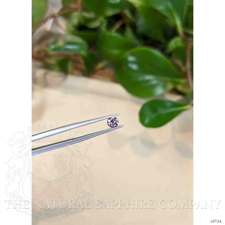 0.39 Ct. Purple Sapphire from Montana