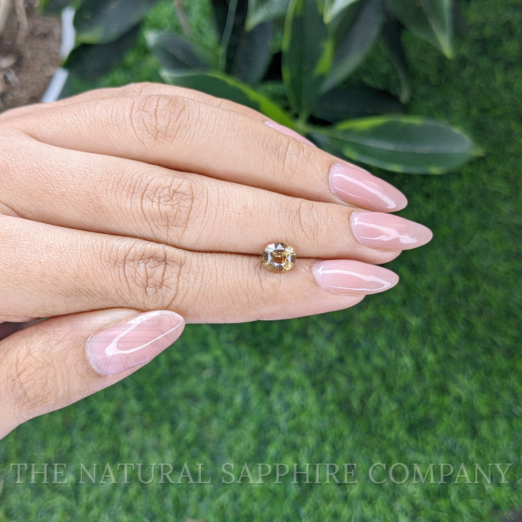 1.46 Ct. Greenish Yellow Sapphire from Tanzania