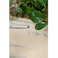 0.27 Ct. Bluish Green Sapphire from Montana Life Style