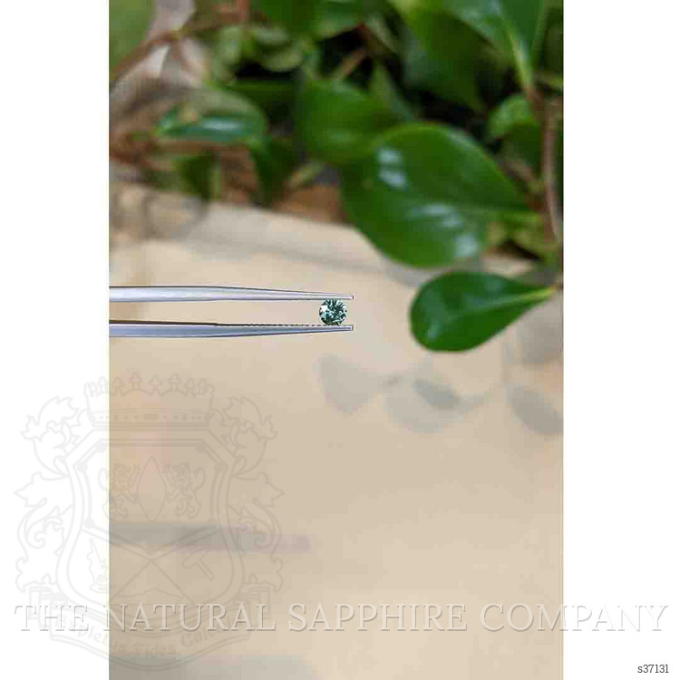 0.27 Ct. Bluish Green Sapphire from Montana