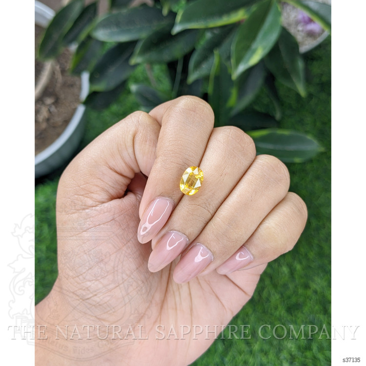 3.06 Ct. Yellow Sapphire from Madagascar